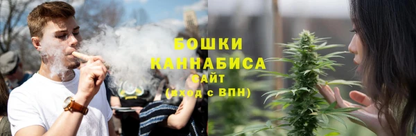 прущие грибы Ростов