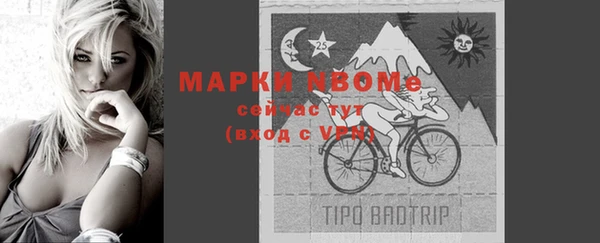 прущие грибы Ростов