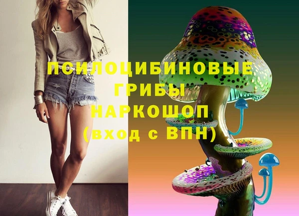 марки lsd Горняк