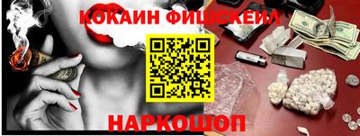 jwh Бийск