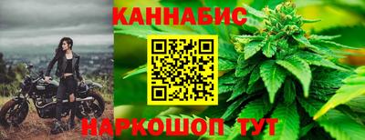 jwh Бийск