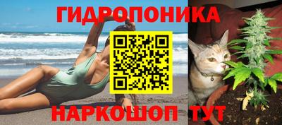 a pvp Будённовск