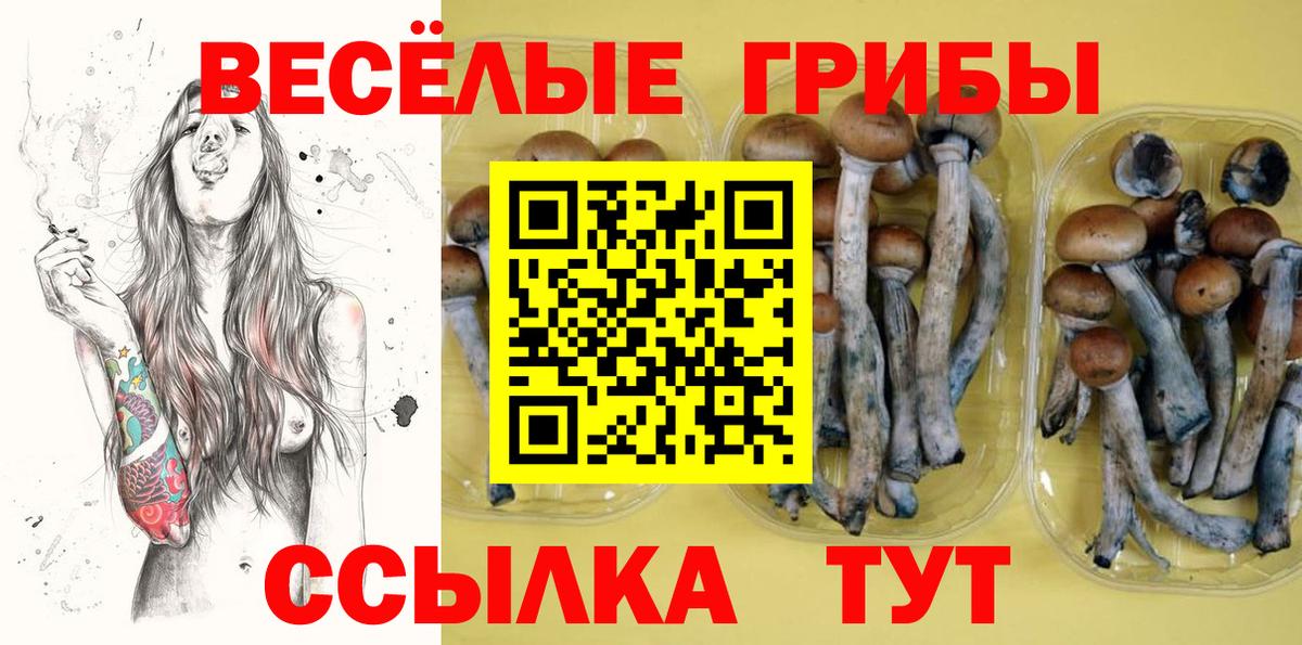 Беслан  Псилоцибиновые грибы прущие грибы  Вход с VPN 