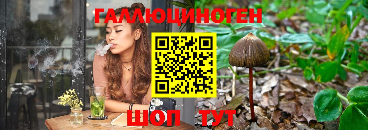 Галлюциногенные грибы Magic Shrooms Беслан