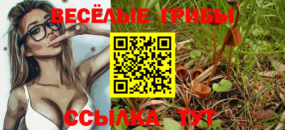 Галлюциногенные грибы мухоморы  Вход с VPN  Беслан  Галлюциногенные грибы Psilocybe 